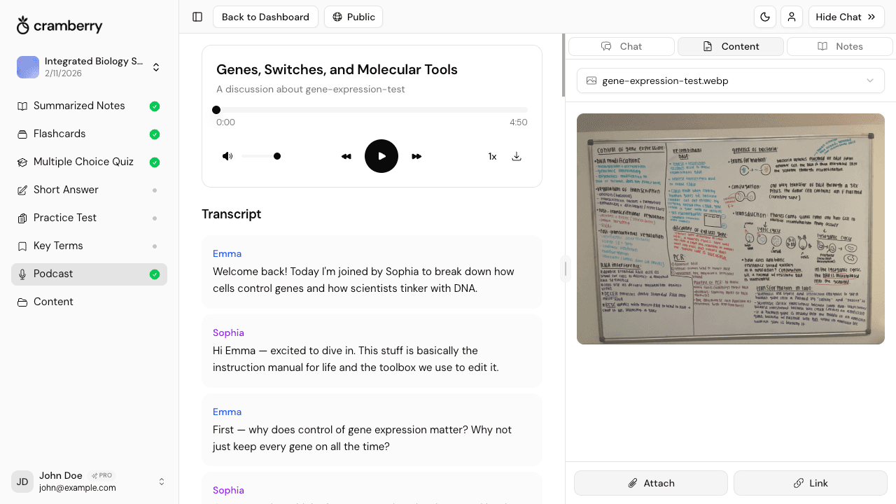 AI podcast generator creating audio content from photo - Cramberry